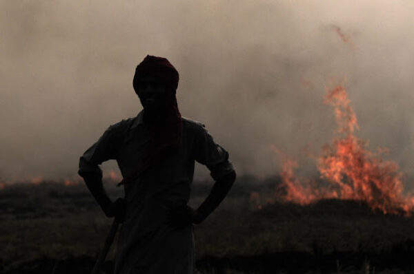 Clearing the Air: How the Government Can Stop Stubble Burning and Save Delhi’s Air Quality
