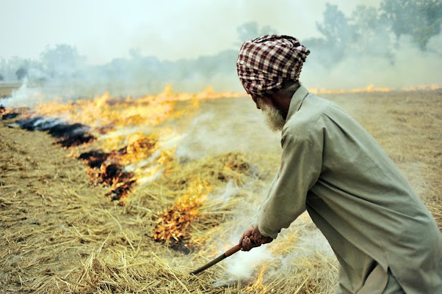 What_is_stubble_burning