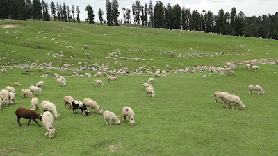 Gujjars and Bakarwals of Jammu and Kashmir