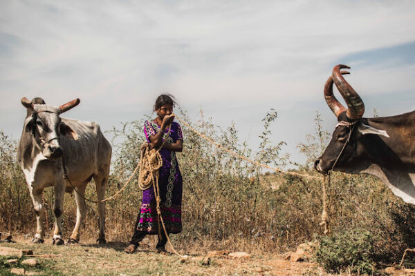Agriculture in India and its silent features
