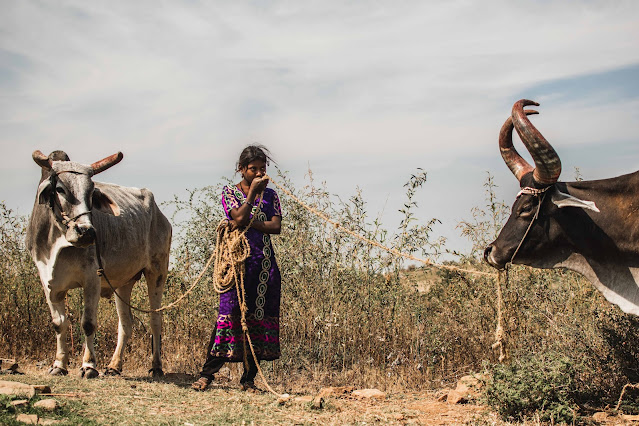 Agriculture in India and its silent features