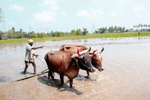 How thousands mile away ocean current affects Indian economy