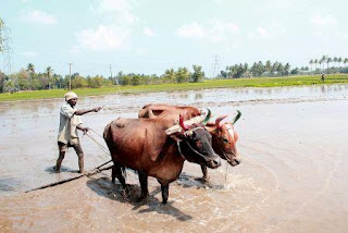 How thousands mile away ocean current affects Indian economy